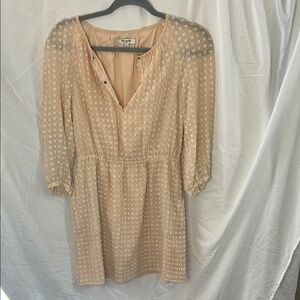 Madewell Swiss Dot Babydoll Dress 3/4 sleeve